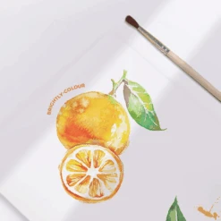 Flower Monaco Water Color 21 Flower Monaco Water Color -Baby Products Shop flower monaco water color lupipop 6