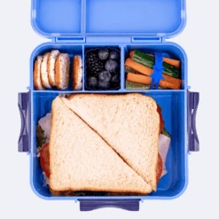 MONTII.CO Bento Plus | Blueberry -Baby Products Shop montii co bento plus or blueberry lupipop 3