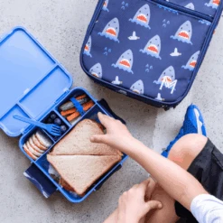 MONTII.CO Bento Plus | Blueberry -Baby Products Shop montii co bento plus or blueberry lupipop 5