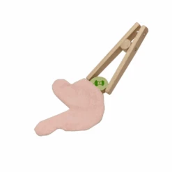 Plan Toys Surgeon Set 19 Plan Toys Surgeon Set -Baby Products Shop plan toys surgeon set lupipop 7